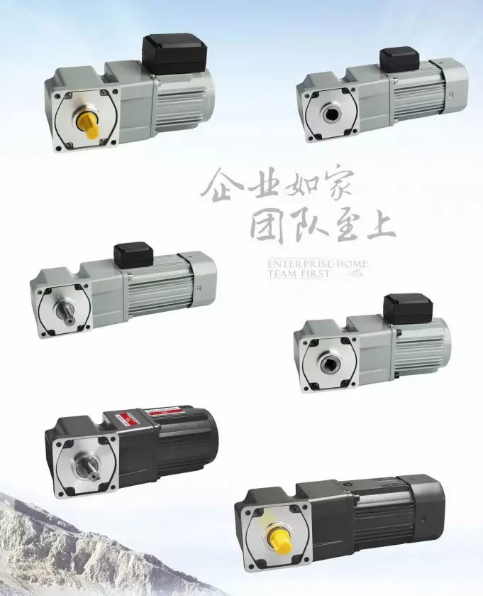 Mask Machine Used AC Right Angle Gear Motor 40W 60W